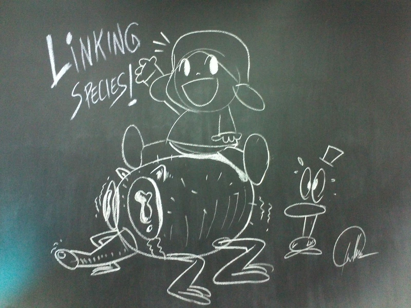 ¿QUÉ SON LOS LINKING DAYS?