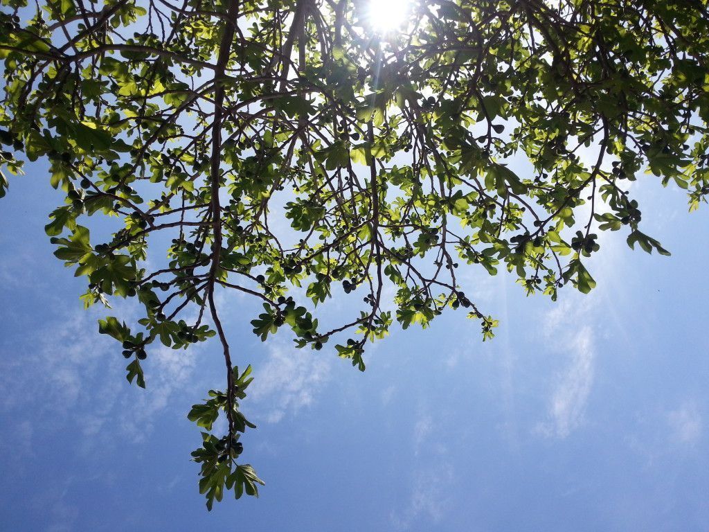 20150403_130234
