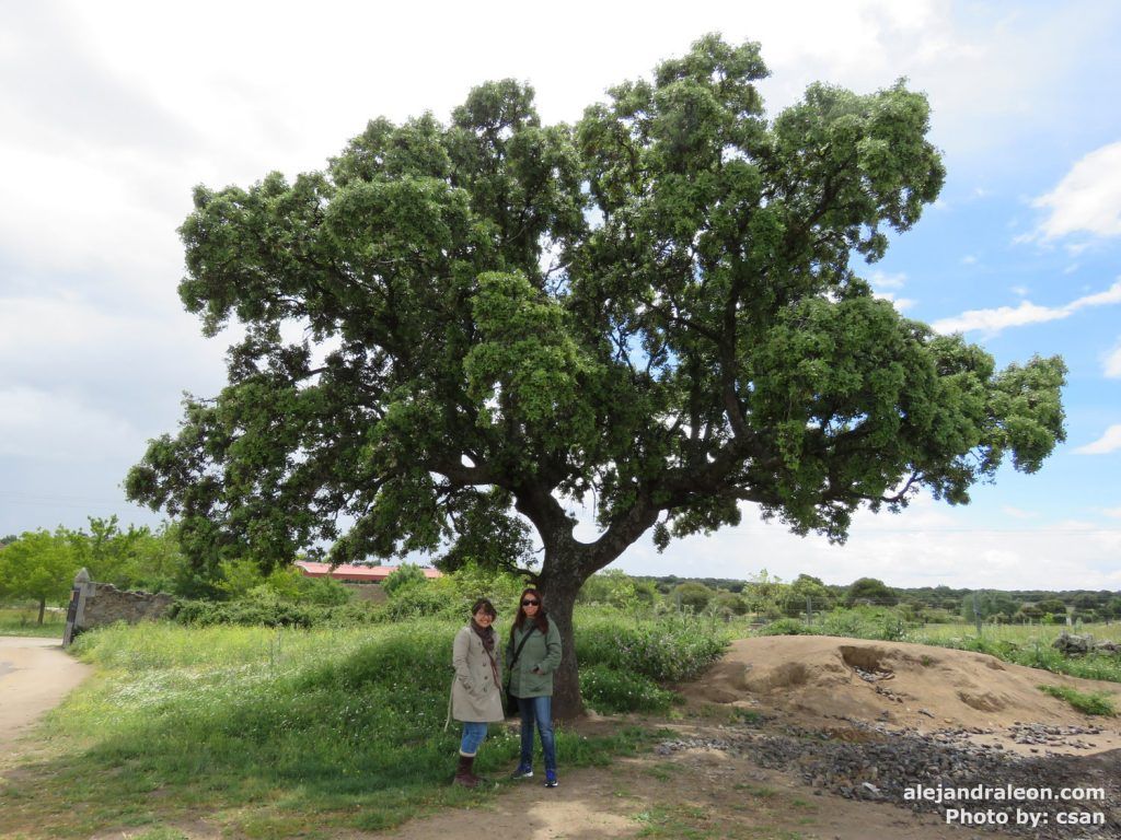 Motivación-para-Emprender-Alejandra-Leon-37